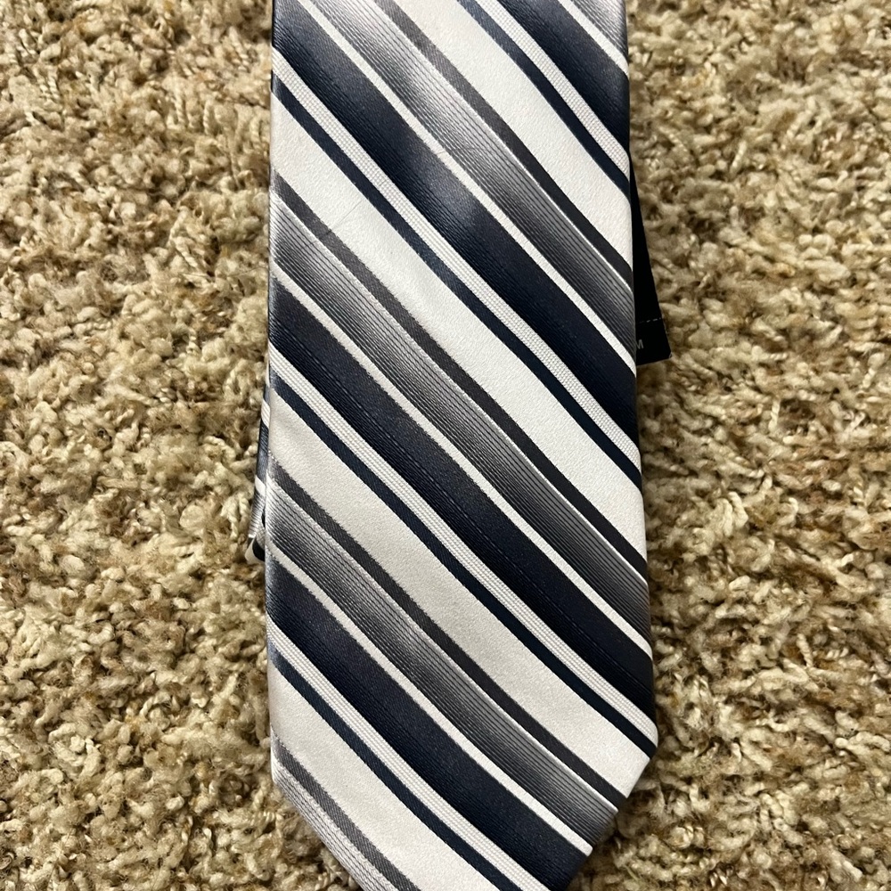 NWT. Express. Elegant Striped Black and Gray Men's Tie.